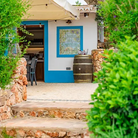 Quinta Dos Capinhas - Luxury With Pool In Vineyard *