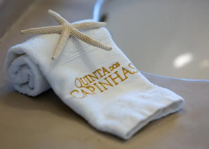 Quinta Dos Capinhas - Luxury With Pool In Vineyard 珀彻斯